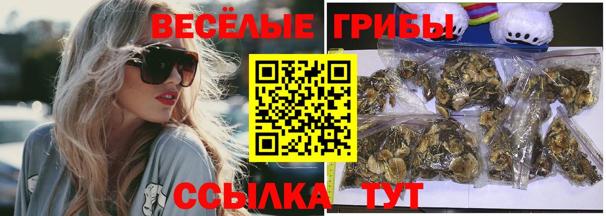 Галлюциногенные грибы Magic Shrooms Анжеро-Судженск